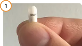 Hand holding CREON® (pancrelipase) Delayed Release Capsule upright.